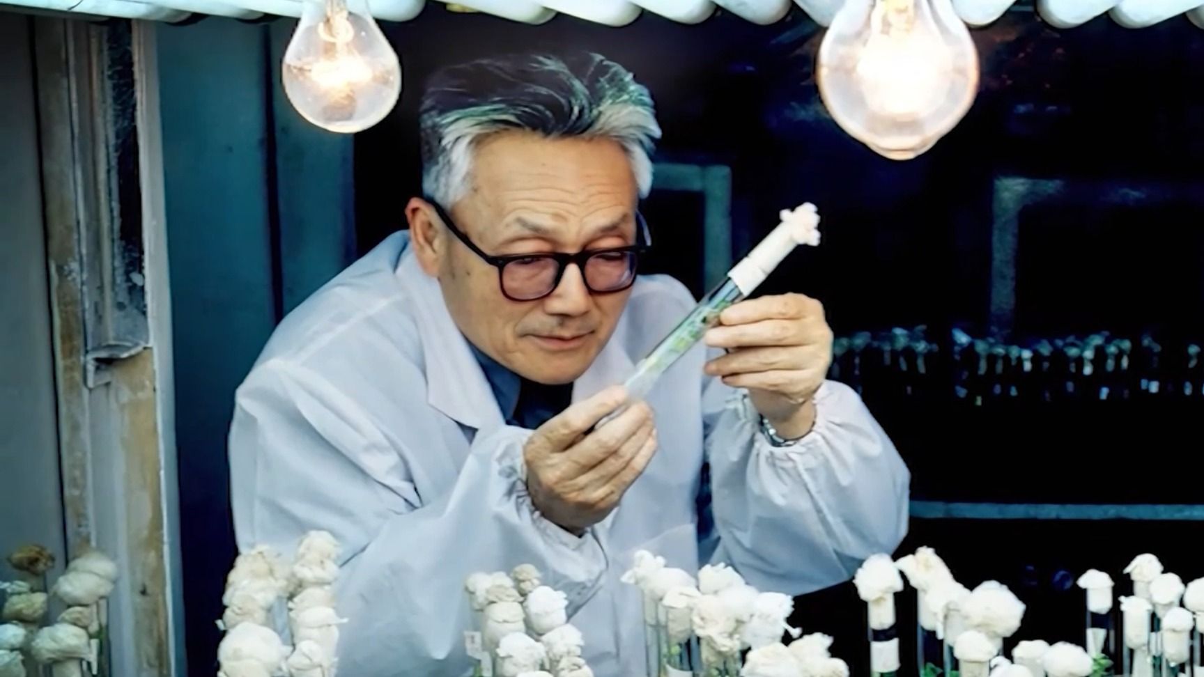 【狮山大先生】陈华癸：根生沃土 烛照狮山